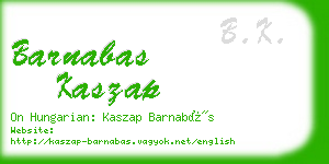 barnabas kaszap business card